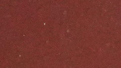 South Korea's head coach Hong Myung-bo reacts during the international friendly soccer match between South Korea and Brazil at Seoul World Cup Stadium in Seoul, South Korea, Friday, Oct. 10, 2025. (AP Photo/Lee Jin-man)