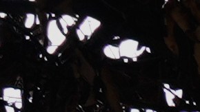 Resumen de las 10 tragedias viales, aéreas, ferroviarias y marítimas de México en 2025