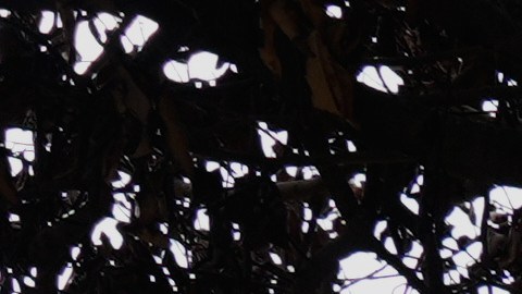 Resumen de las 10 tragedias viales, aéreas, ferroviarias y marítimas de México en 2025