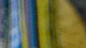 La organización denuncia represalias políticas por sus posturas públicas.