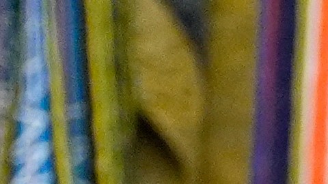 La organización denuncia represalias políticas por sus posturas públicas.