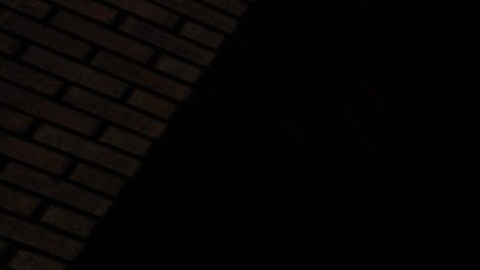 Las redadas de ICE han desatado protestas en varias ciudades.