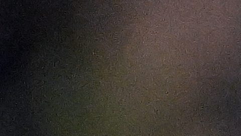 LAFC forward Son Heung-Min of Game 1 in the first round of MLS soccer's Western Conference playoff Wednesday, Oct.. 29, 2025, in Los Angeles. (AP Photo/Wally Skalij)