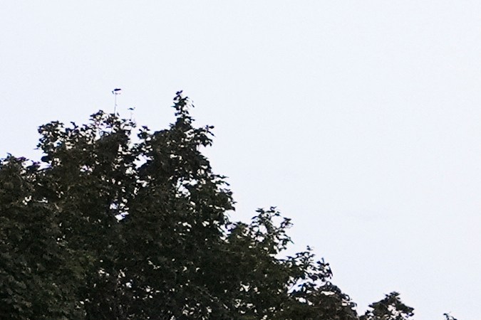 Cada ataque dejó cicatrices duraderas en comunidades educativas que, pese a simulacros y protocolos, siguen expuestas a una violencia que no distingue edades ni espacios.