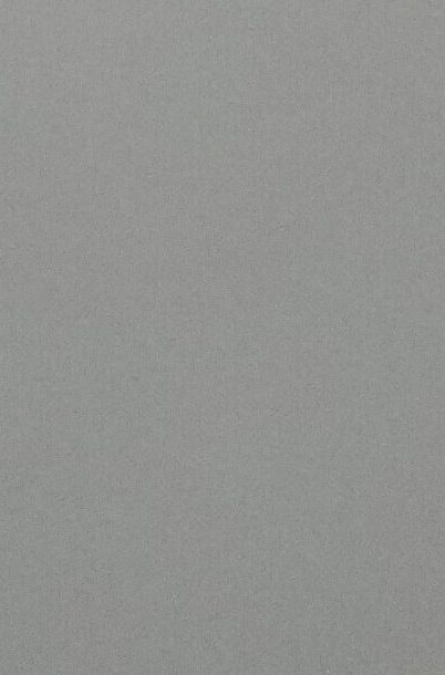 Fenerbahce's Edson Alvarez stretches for the ball during the Europa League opening phase soccer match between Viktoria Plzen and Fenerbahce in Plzen, Czech Republic, Thursday, Nov. 6, 2025. (AP Photo/Petr David Josek)