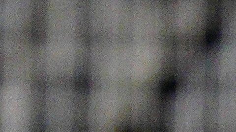 United States' Gio Reyna controls the ball during the second half of an international friendly soccer match against Paraguay, Saturday, Nov. 15, 2025, in Chester, Pa. (AP Photo/Derik Hamilton)