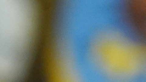 El gobierno de Trump es acusado de despidos bajo perfil racial.