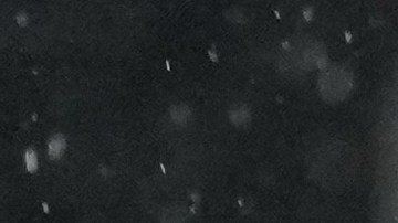 Raúl Jiménez anotó desde los 11 pasos y le dio tres puntos de oro a su equipo.