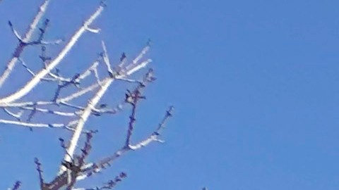 Costco también busca evitar que esos gravámenes se sigan imponiendo mientras se desarrolla el caso en la Corte Suprema.