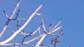 Costco también busca evitar que esos gravámenes se sigan imponiendo mientras se desarrolla el caso en la Corte Suprema.