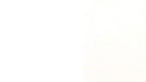 Departamento de Justicia podrá divulgar archivos del caso Epstein tras orden de juez en Nueva York