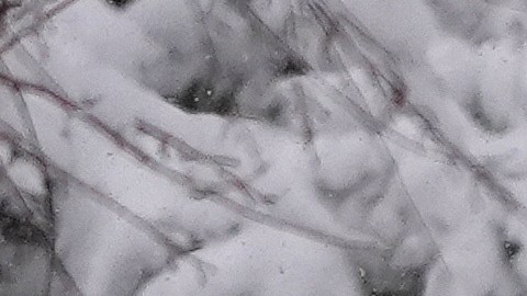 Más de 9 millones de personas están bajo alerta.