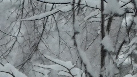 Las autoridades advierten sobre condiciones peligrosas en carreteras y posibles interrupciones de servicios.