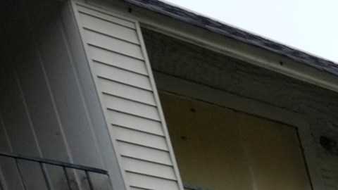 La gente hace sonar silbatos y graba operativos migratorios.