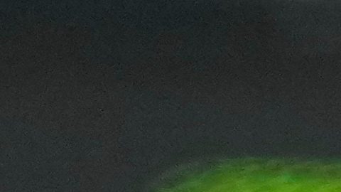 Los Jets no pudieron vencer a los Dolphins y perdieron sus aspiraciones de avanzar.