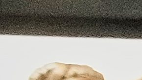 Frederick Green, 20, of The Bronx borough of New York, charged with attempted murder in the shooting of New York Jets' player Kris Boyd, is escorted from the Midtown South Police Precinct, in New York, Tuesday, Dec. 9, 2025. (AP Photo/Richard Drew)