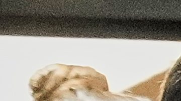 Frederick Green, 20, of The Bronx borough of New York, charged with attempted murder in the shooting of New York Jets' player Kris Boyd, is escorted from the Midtown South Police Precinct, in New York, Tuesday, Dec. 9, 2025. (AP Photo/Richard Drew)