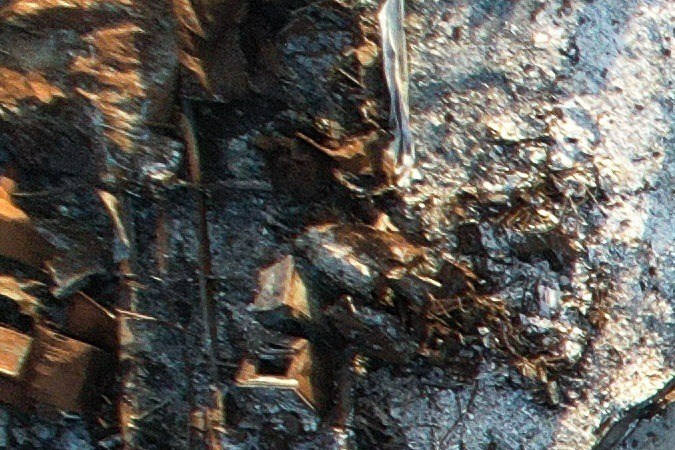 El aumento de temperaturas extremas evidencia la necesidad de liderazgo y políticas responsables para enfrentar la crisis climática