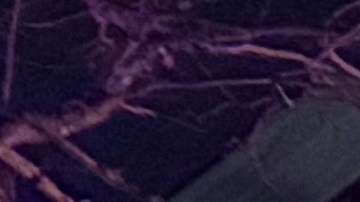 Las autoridades fueron alertadas poco antes cuando vieron un hombre con un arma.