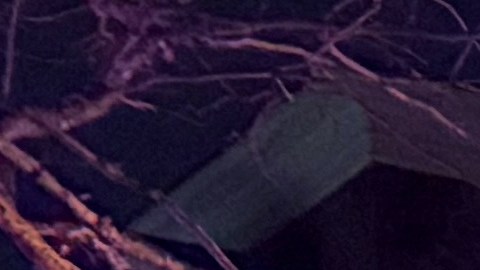 Las autoridades fueron alertadas poco antes cuando vieron un hombre con un arma.