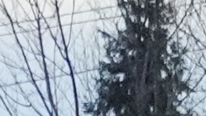 el estado de Washington intenta recuperarse de inundaciones históricas que han obligado a miles de personas a evacuar