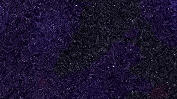 La investigación vuelve a punto cero mientras crece la angustia en la comunidad universitaria.