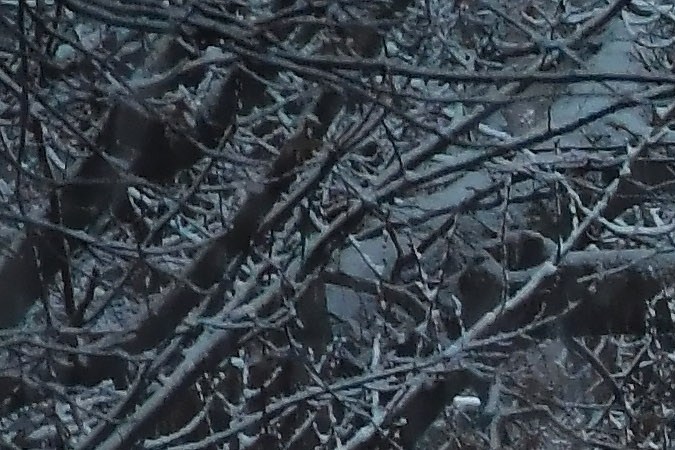 las autoridades pidieron a la población colaborar con videos de vigilancia u otra información