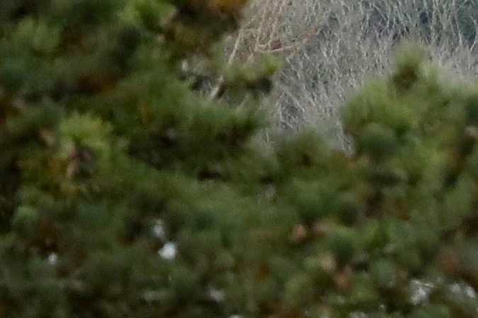 Las inundaciones serán un riesgo fuerte en 2026. Representación de una tormenta costera con relámpagos y mar agitado que ilustra los posibles efectos de un evento climático fuerte de El Niño en el planeta.