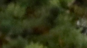 Es la primera muerte reportada tras una semana de lluvias extremas e inundaciones en el estado de Washington.