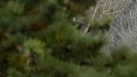 Es la primera muerte reportada tras una semana de lluvias extremas e inundaciones en el estado de Washington.