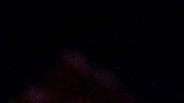 Donald Trump junto a Gianni Infantino, presidente de la FIFA.