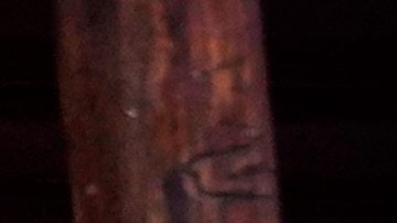 The body of slain soccer player Mario Pineida lies on the floor at a butcher shop in Guayaquil, Ecuador, Wednesday, Dec. 17, 2025. (AP Photo/Cesar Munoz)