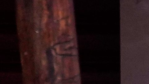 The body of slain soccer player Mario Pineida lies on the floor at a butcher shop in Guayaquil, Ecuador, Wednesday, Dec. 17, 2025. (AP Photo/Cesar Munoz)