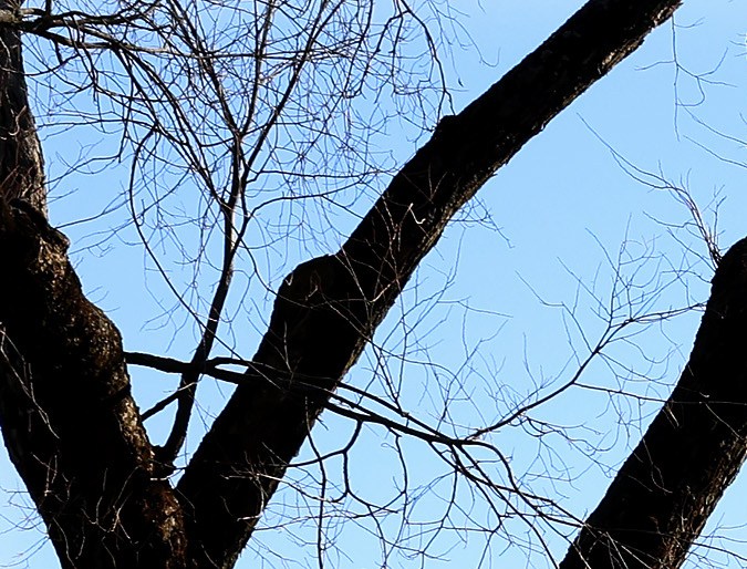 Brown es una institución privada con aproximadamente 7.300 estudiantes universitarios y más de 3.000 estudiantes de posgrado.