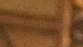 El mandatario afirmó que no permitirá que "prospere el terrorismo islámico".