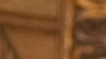 El mandatario afirmó que no permitirá que "prospere el terrorismo islámico".