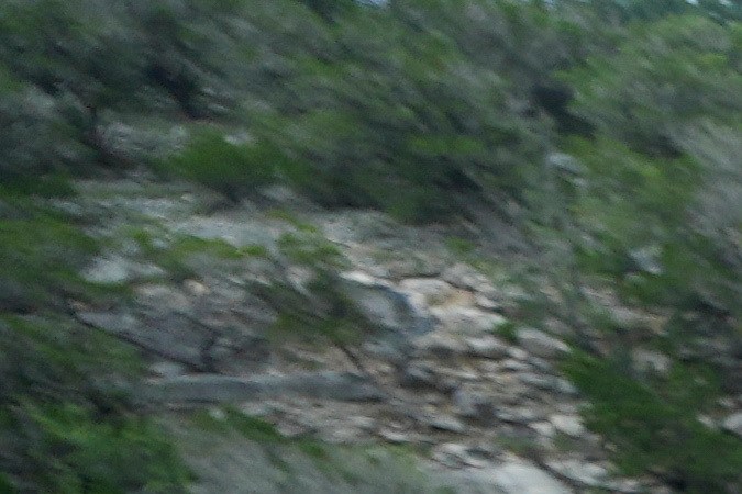 el calor extremo registrado en 2025 tuvo consecuencias que van más allá de las estadísticas.