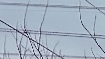 Las autoridades ofrecieron una conferencia en donde dieron detalles del accidente.