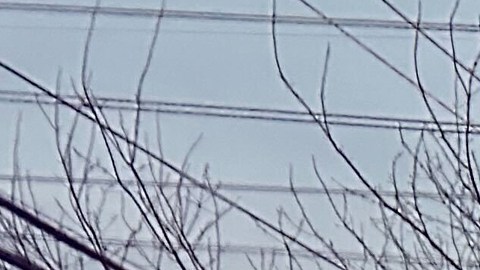 Las autoridades ofrecieron una conferencia en donde dieron detalles del accidente.