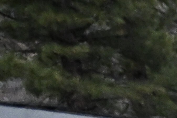 se emitió una alerta de inundaciones para Buffalo y Jamestown, en el estado de Nueva York