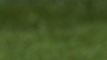 A general view of the matchball during their English Premier League soccer match between Sunderland and Leicester City at the Stadium of Light, Sunderland, England, Saturday, May 16, 2015. (AP Photo/Scott Heppell)