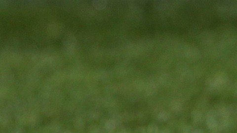 A general view of the matchball during their English Premier League soccer match between Sunderland and Leicester City at the Stadium of Light, Sunderland, England, Saturday, May 16, 2015. (AP Photo/Scott Heppell)