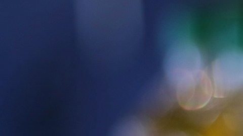 El aceite de soja promueve la obesidad, según un estudio