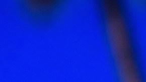 Adamari López Toni Costa