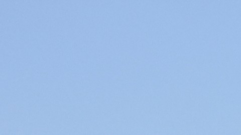 Immigration agents conduct an operation at a car wash on Friday, Aug. 15, 2025, in Montebello, Calif. (AP Photo/Gregory Bull)