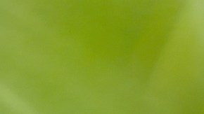 Beneficios del agua de coco para la salud