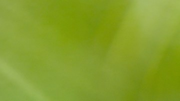 Beneficios del agua de coco para la salud