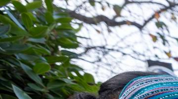 LOS ANGELES (United States), 13/12/2025.- Protesters (L-R) Aztlan Tenochtitlan, Alexandria Augustine and Steven Starr meet with Mayor Karen Bass outside her home where protesters had gathered in Los Angeles, California, USA, 13 December 2025. Several groups, including 50501, Valley Defensa, Human Liberation Coalition, and Extinction Rebellion, marched to the mayor's house to demand accountability and reform of the Los Angeles Police Department (LAPD). (Protestas, Alejandría) EFE/EPA/JILL CONNELLY