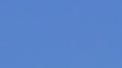 American Airlines dejará de ofrecerle millas y tarifas económicas a miembros del programa de fidelización