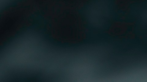 Análisis de expertos sobre la economía de Estados Unidos en el próximo año